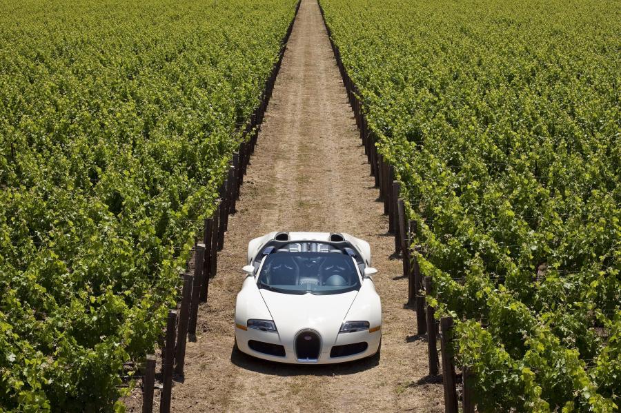  Bugatti Veyron 16.4 Grand Sport 2009 года  (фото 6 из 96)